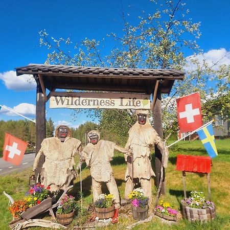 Elch Zimmer Wilderness Life Arvidsjaur Exteriör bild