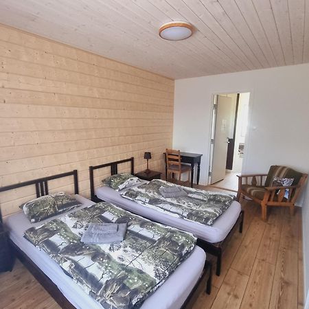 Elch Zimmer Wilderness Life Arvidsjaur Exteriör bild