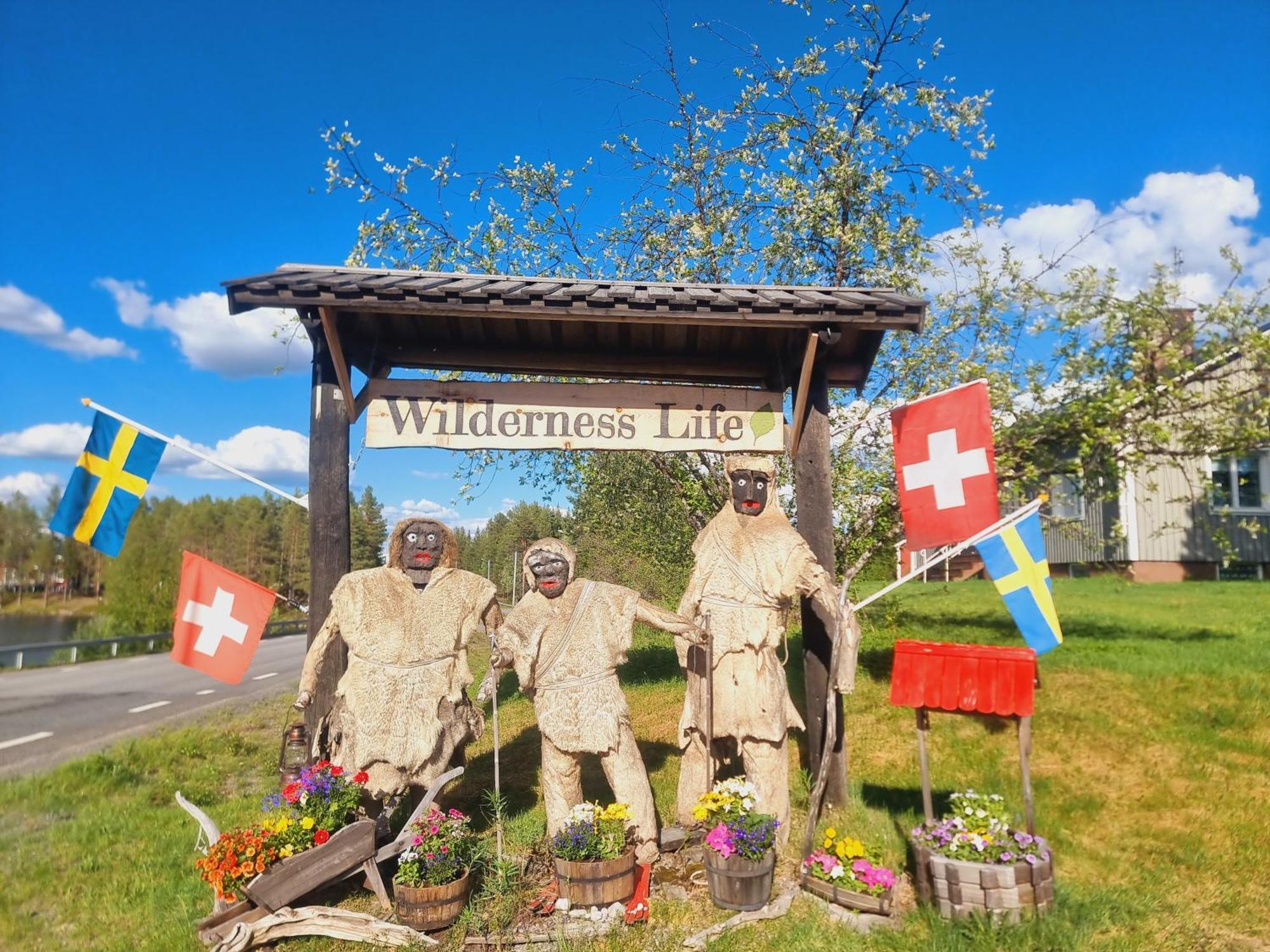 Elch Zimmer Wilderness Life Arvidsjaur Exteriör bild